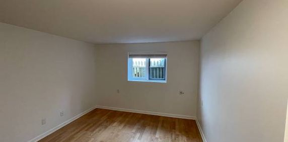 Mount Pleasant b/w Cambie and Main - 2 Bdr/1Bath Garden suite - Photo 2