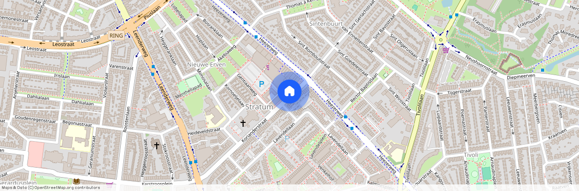 Nieuwe Erven, 5643 AS, Korianderstraat, Eindhoven