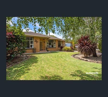 1 Wren Street, Mount Gambier, SA 5290 - Photo 4