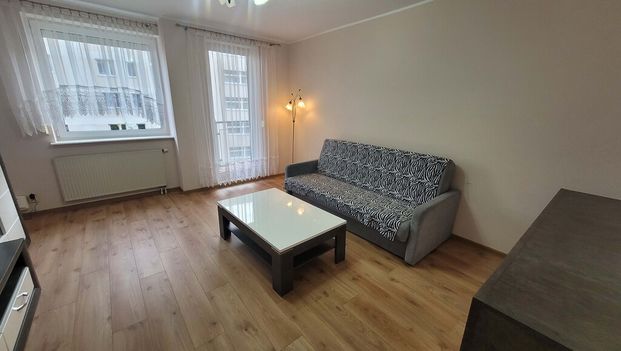 wynajem 3 pokoje na Warszewie - Zdjęcie 1