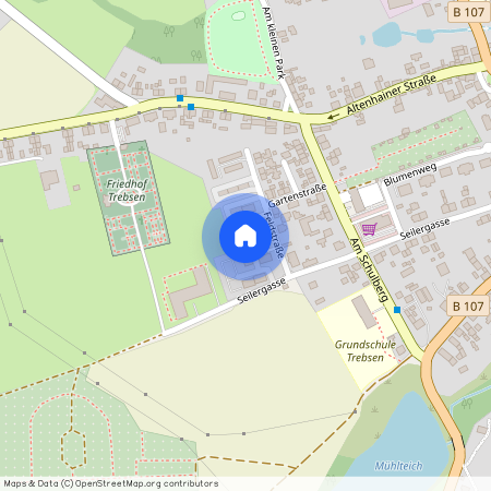 Feldstraße 19, 04687 Trebsen