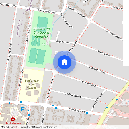 154a Northam Avenue Bankstown