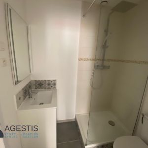 Location Appartement 1 pièce 19m² TOULOUSE 31500 - Photo 3