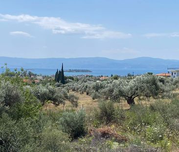Μονοκατοικία για ενοικίαση Κέντρο (Ερέτρια) - Photo 4