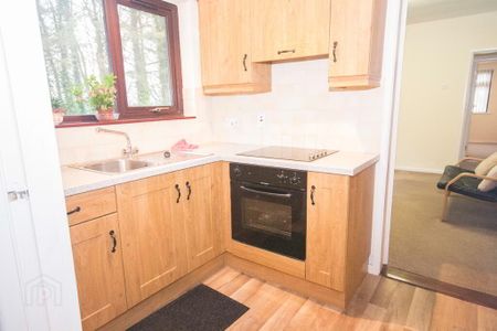 27 Strabane Road, Newtownstewart, BT78 4JY - Photo 3