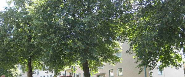 Demnächst frei! 3-Zimmer-Wohnung in Werl - Photo 1