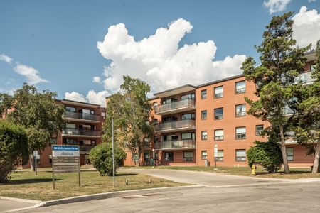 56 Eccleston Drive - Photo 5