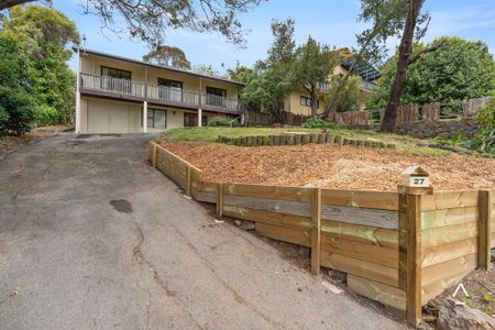 Sunny West Launceston Gem - Photo 3