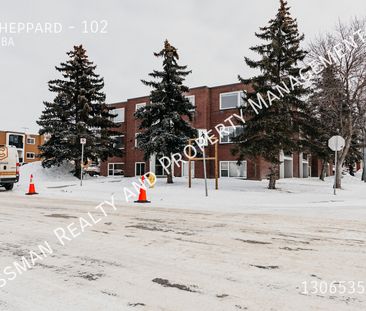 2 Bed, 1 bath apartment located in Argyle Park, Regina. - Photo 6