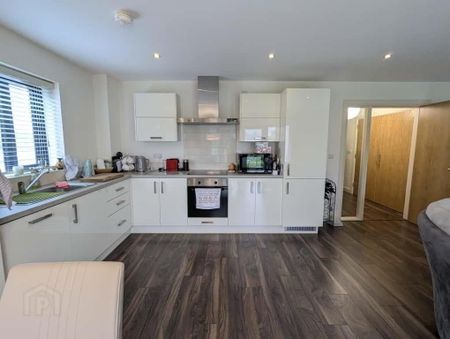 Apt 4, Runnymeade, Newcastle, BT33 0DY - Photo 4