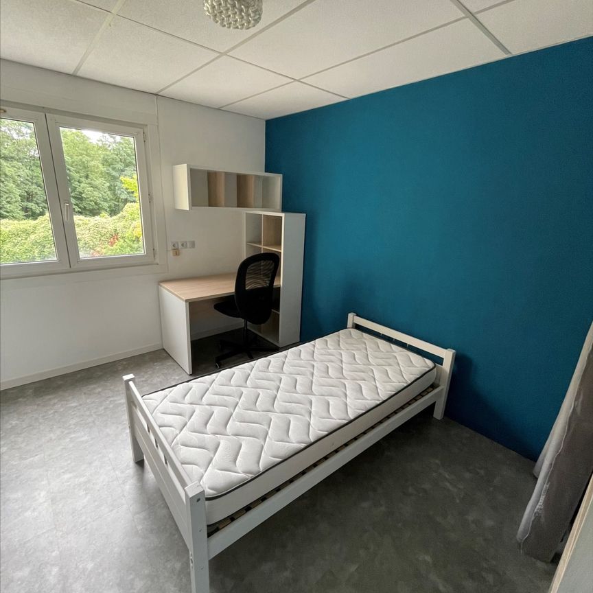 Location Appartement 1 pièce 14m² - Photo 1
