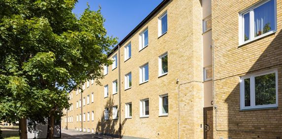 Skolgatan 37 - Foto 2