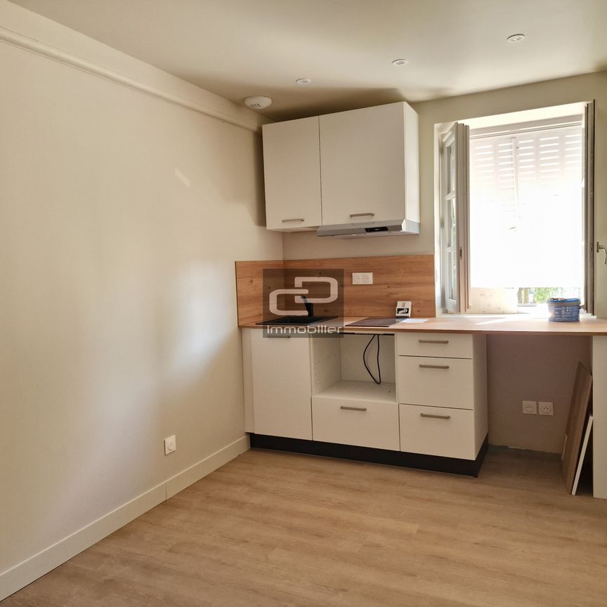 Location Appartement 1 pièce 13m² COUZON AU MONT D OR 69270 - Photo 1