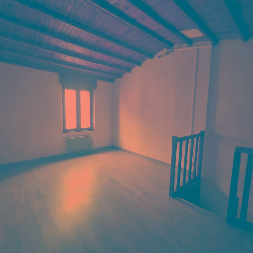 LA HOTOIE - AMIENOISE - 50 M² - 1 CHAMBRE - Photo 1