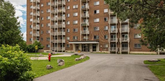 Studio - Gatineau - $1,295 /mo - Photo 2