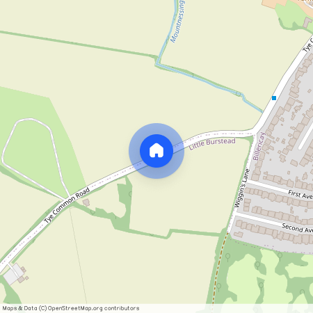 Tye Common Road, CM12