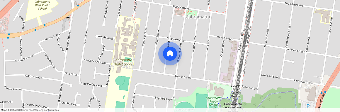 38 Kauri Street, NSW 2166, Cabramatta