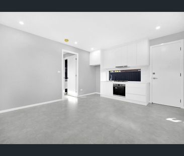 Spacious & Modern Granny Flat - Photo 3