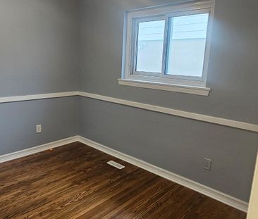 For Lease - 43 Braemar Drive, Brampton, Ontario - Photo 4