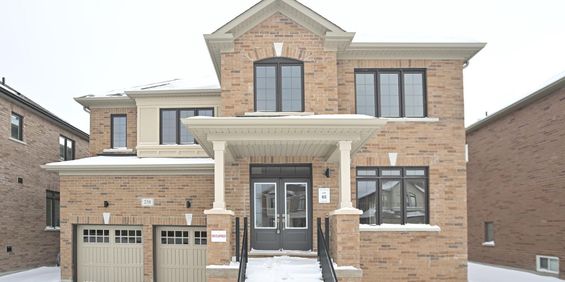 For Lease - 238 Warden Street, Clearview, Ontario - Photo 3