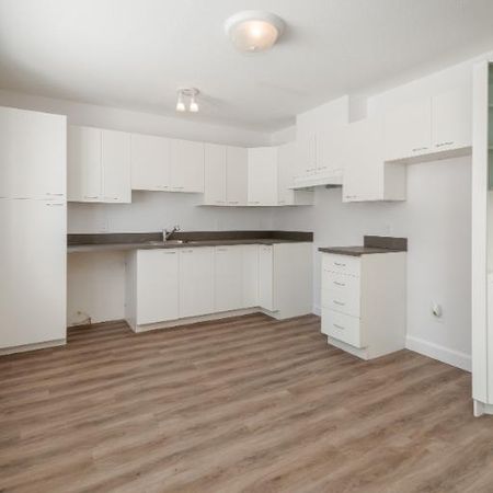 Appartement 4 ½ à louer Sainte-Foy / Sillery janvier 2026 - Photo 3