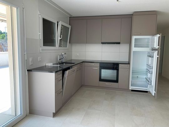 Charmante 3.5-Zimmer-Attikawohnung - Photo 1