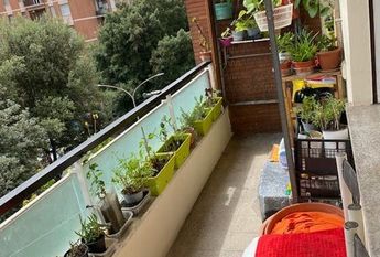 Via Francesco Grimaldi, Rome, Lazio 00146