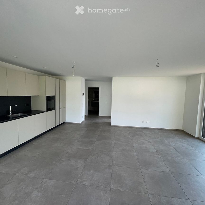 NUOVO 2.5 LOCALI CON GRANDE TERRAZZA – PRIMA LOCAZIONE A VERSCIO - Foto 1