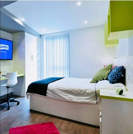 Executive Gold Studio - Photo 2