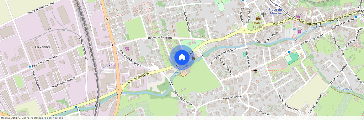 Rue du Simplon, 1880 Bex