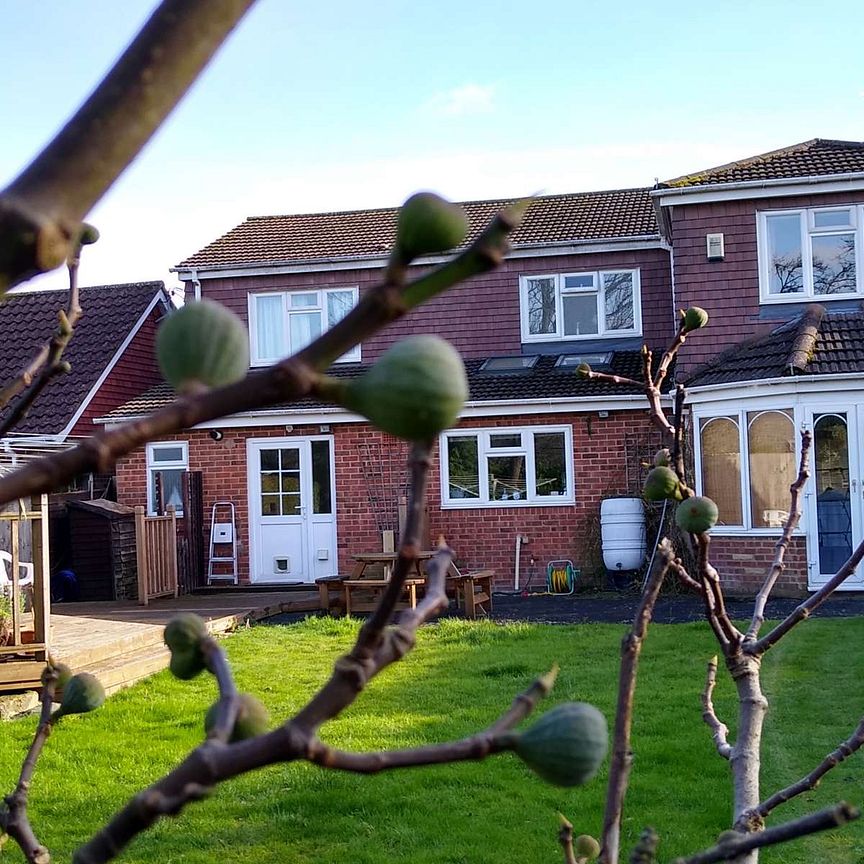 Excellent spacious friendly Share House non smoking with parking - Photo 1