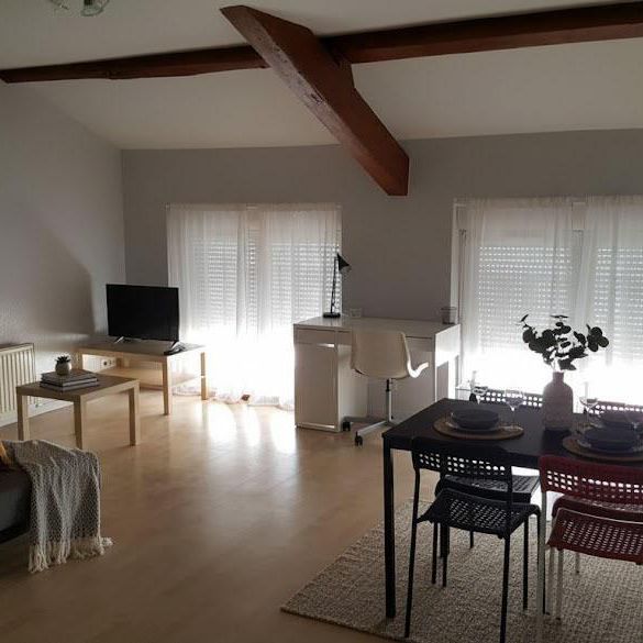Location Appartement 1 pièce 36m² ST ETIENNE 42000 - Photo 1