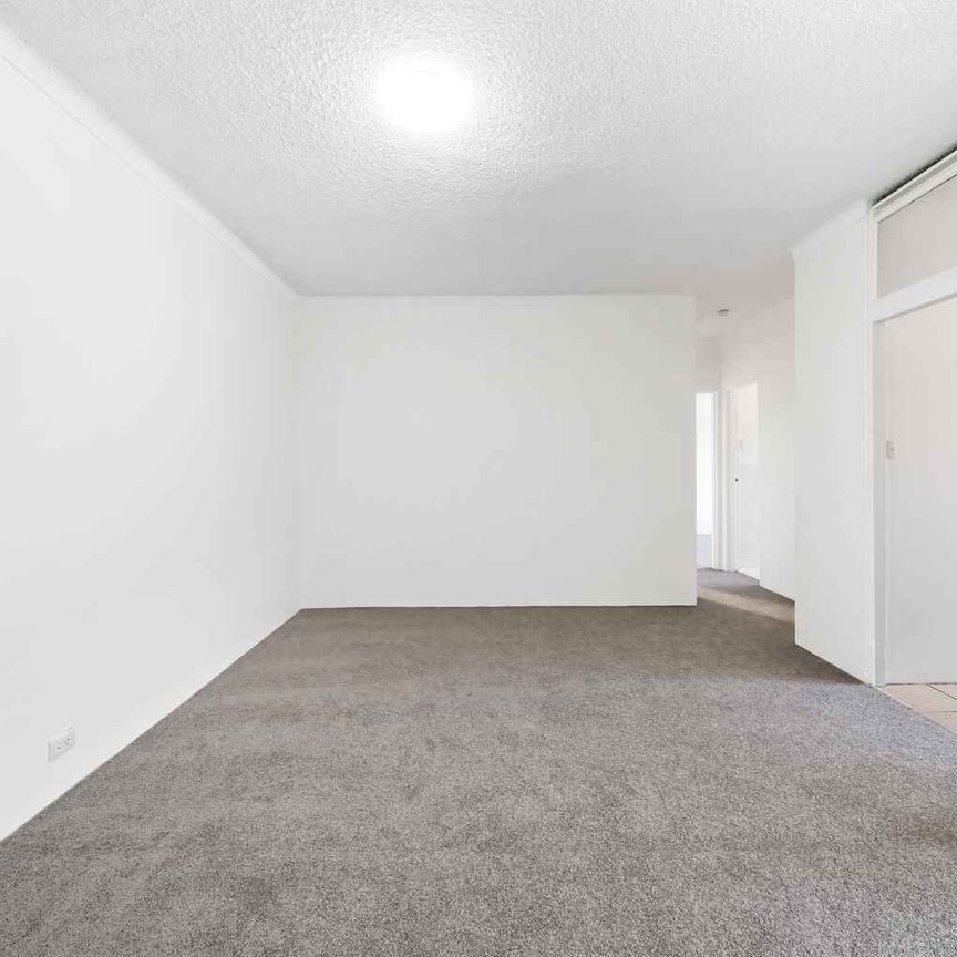 Freshly renovated! - Photo 1