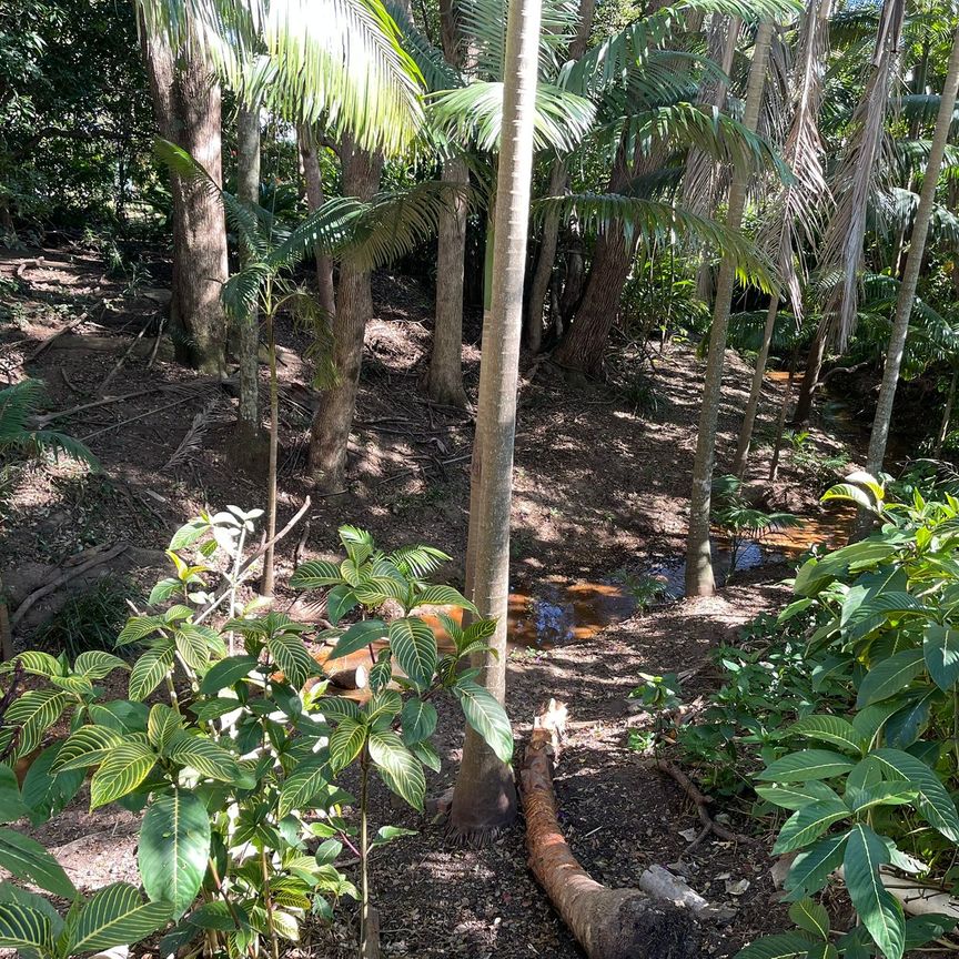 2 Bedroom Unit Close to Shops - Photo 1