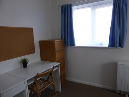 One Bedroom House TO LET In Milton - Photo 3