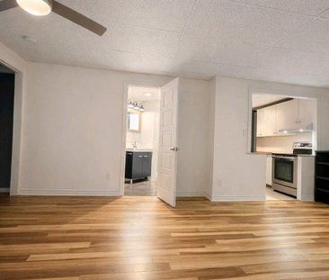 ✨ Charmant 3½ à louer – Libre dès maintenant ✨ - Photo 1