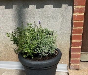 Pilgatan 16 - Photo 2