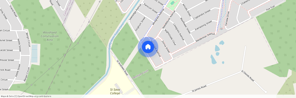 111 Sawsedge Avenue, NSW 2565, Denham Court