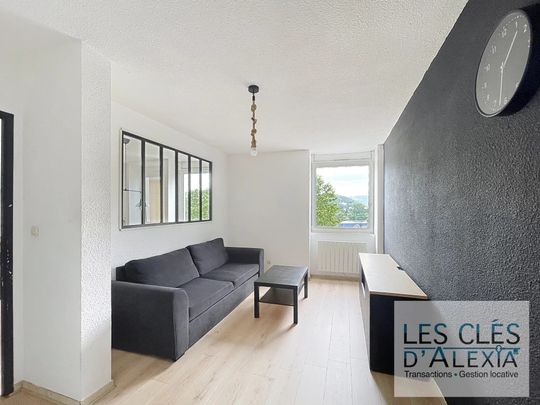 Location Appartement 2 pièces 49m² VIENNE 38200 - Photo 1