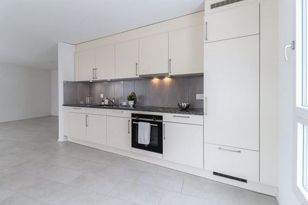 Charmant appartement de 2.5 pièces à louer à la campagne - Photo 4