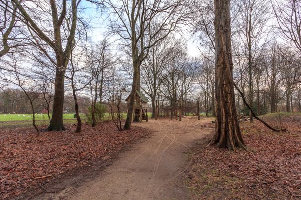 Te huur: Dr. H. Colijnstraat 602 - Photo 1