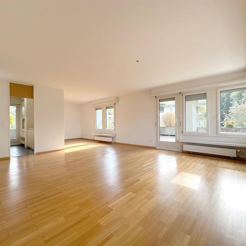 Wohntraum Attika - im bevorzugten Haslenquartier mit 2 Terrassen! - Foto 1