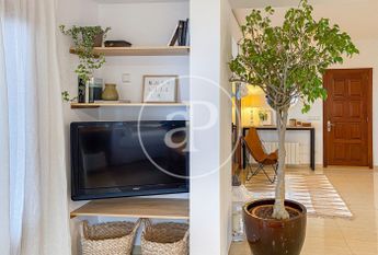 House for rent in Alcudia