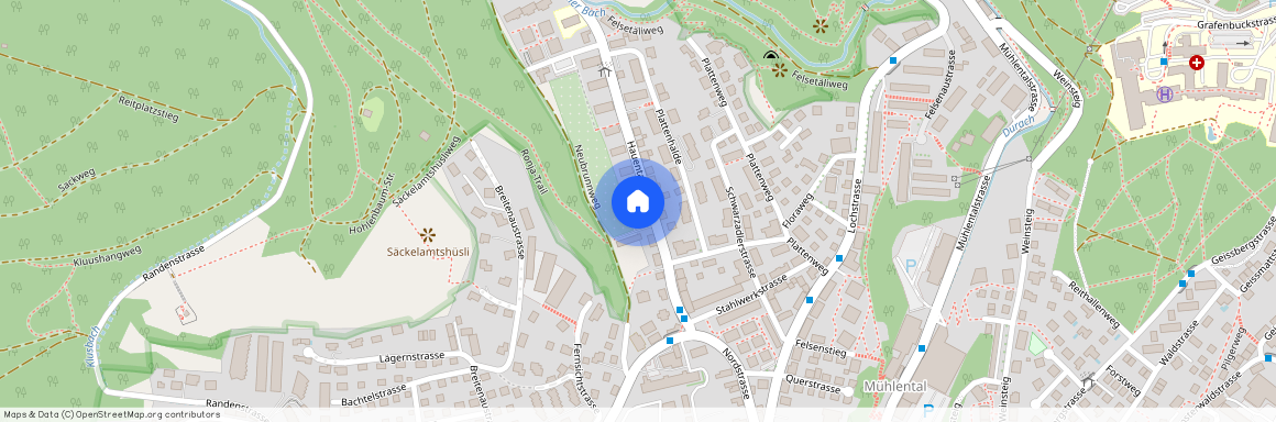 Hauentalstrasse 31, 8200, Schaffhausen