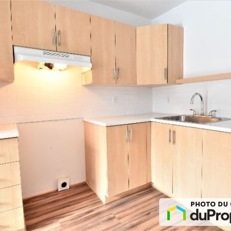 2374, rue Parthenais, Ville-Marie (Centre-Ville et Vieux-Montréal) à louer - Photo 1