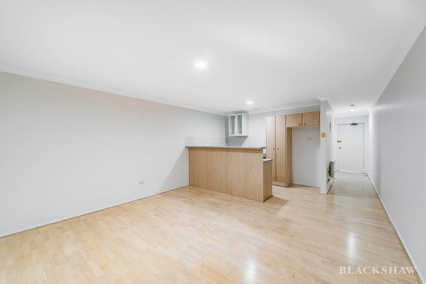 12a/12 Albermarle Place, Phillip ACT 2606 - Apartment For Rent | Domain - Photo 1