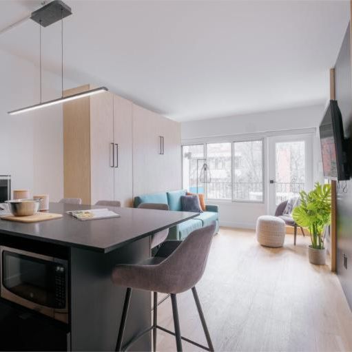 Loft entièrement meublé à louer Saint-Jean-Baptiste septembre 2026 - Photo 1