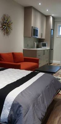 Furnished luxury bachelor apartment - Photo 1