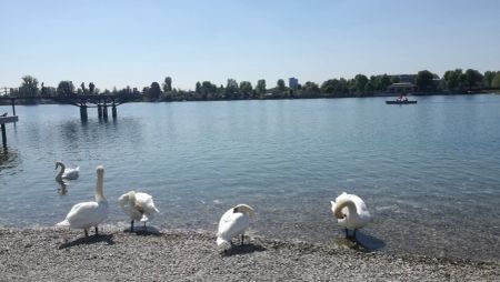 All-inklusive: spacious studio-apartment on higher floor for short time rent! - Foto 2