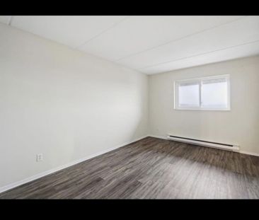 BEL APPARTEMENT A LOUER SUR GATINEAU - Photo 2